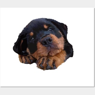 Cute Rottweiler Puppy Posters and Art